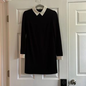 Cynthia Steffe Collared Ponte Knit Shift Dress